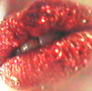 Meet your Posher, Yenni